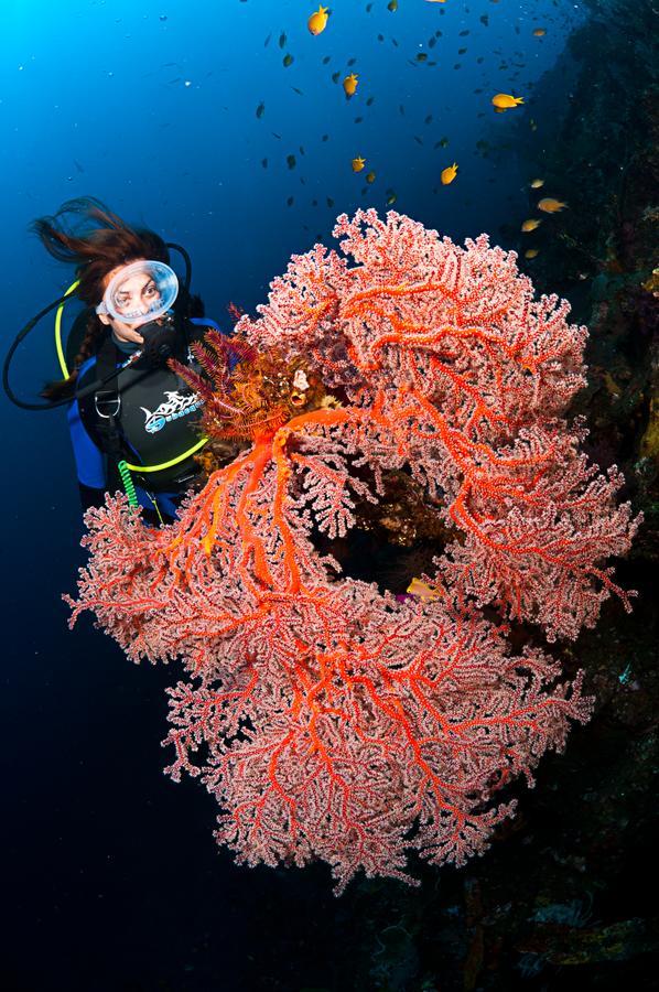 Benthos Bali Dive Resort Candi Dasa  Luaran gambar